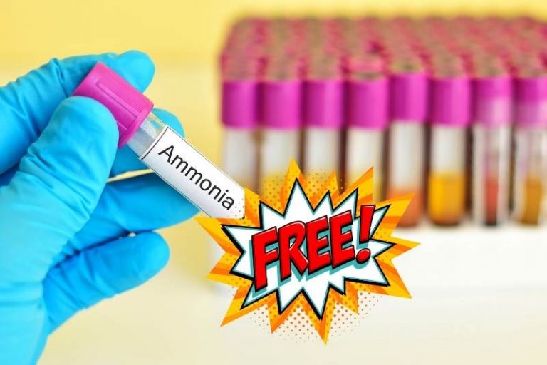 Why Use Ammonia-free Glass Cleaner? (ANSWERED!)