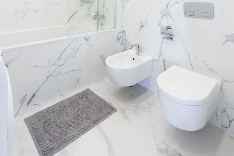 Can You Replace a Bidet With a Sink? (REVEALED!)