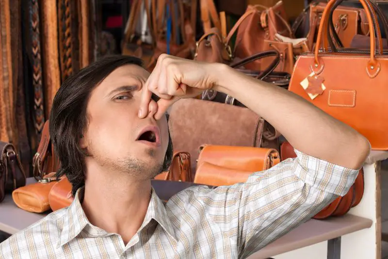 How To Remove Odor & Bad Smells From Leather Bags?