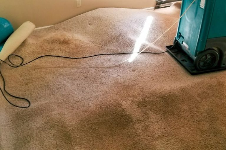 How To Repair Water Damaged Leather? (3 Easiest Steps!)