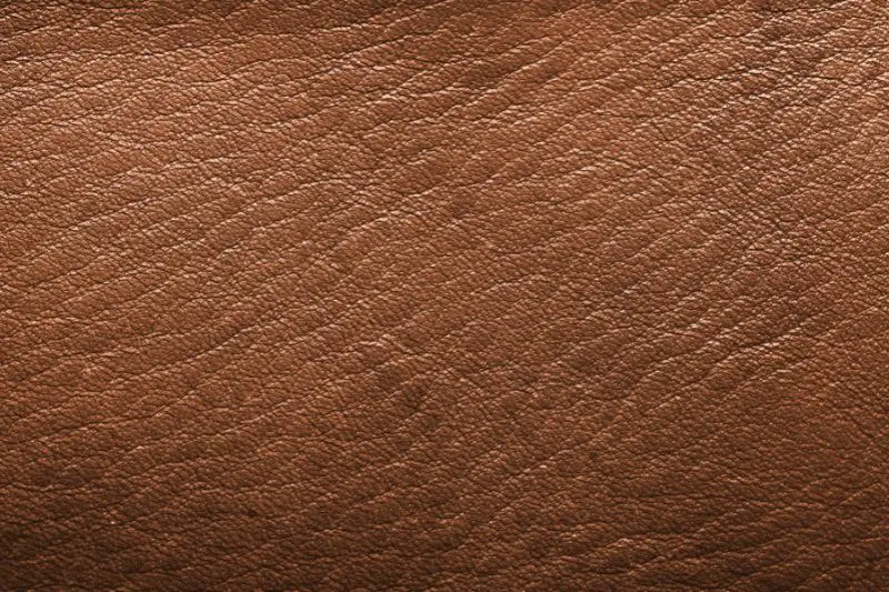 Real Leather Vs Vegan Leather